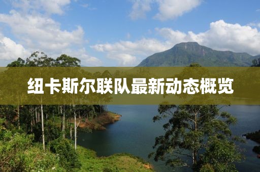 紐卡斯?fàn)柭?lián)隊(duì)最新動(dòng)態(tài)概覽