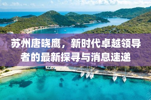 蘇州唐曉鷹，新時(shí)代卓越領(lǐng)導(dǎo)者的最新探尋與消息速遞