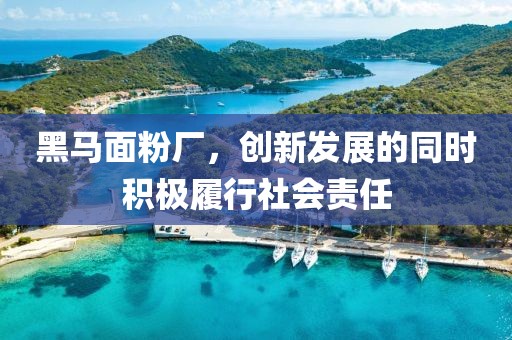 黑馬面粉廠，創(chuàng)新發(fā)展的同時(shí)積極履行社會(huì)責(zé)任