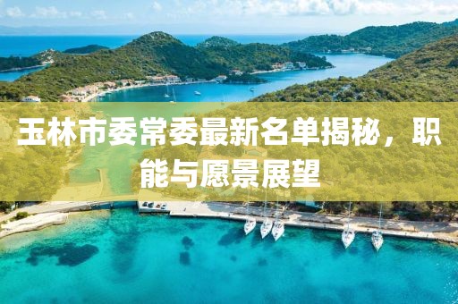 玉林市委常委最新名單揭秘，職能與愿景展望