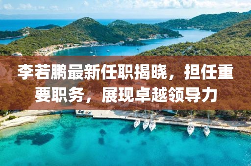 李若鵬最新任職揭曉，擔(dān)任重要職務(wù)，展現(xiàn)卓越領(lǐng)導(dǎo)力