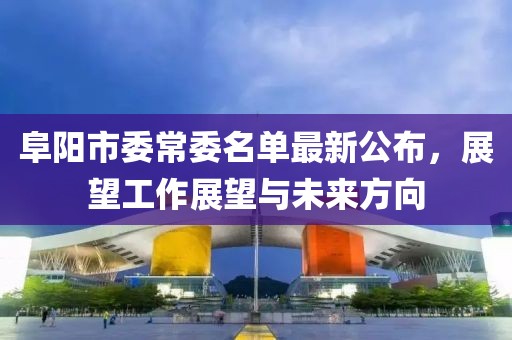 阜陽市委常委名單最新公布，展望工作展望與未來方向