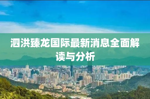 泗洪臻龍國際最新消息全面解讀與分析