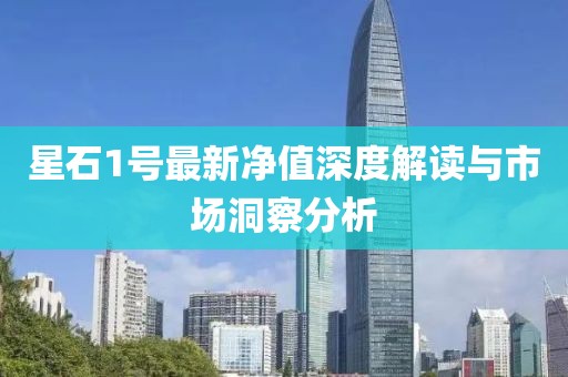 星石1號最新凈值深度解讀與市場洞察分析