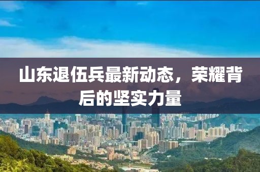 山東退伍兵最新動(dòng)態(tài)，榮耀背后的堅(jiān)實(shí)力量