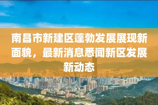 南昌市新建區(qū)蓬勃發(fā)展展現(xiàn)新面貌，最新消息悉聞新區(qū)發(fā)展新動態(tài)