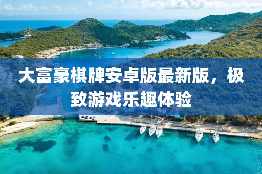 大富豪棋牌安卓版最新版，極致游戲樂趣體驗(yàn)