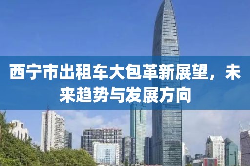 西寧市出租車大包革新展望，未來趨勢(shì)與發(fā)展方向
