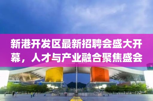 新港開發(fā)區(qū)最新招聘會盛大開幕，人才與產(chǎn)業(yè)融合聚焦盛會