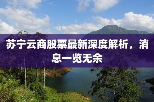 蘇寧云商股票最新深度解析，消息一覽無余