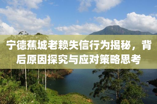 寧德蕉城老賴失信行為揭秘，背后原因探究與應對策略思考