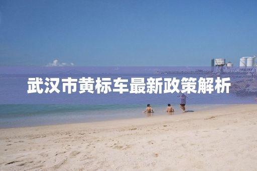 武漢市黃標(biāo)車最新政策解析