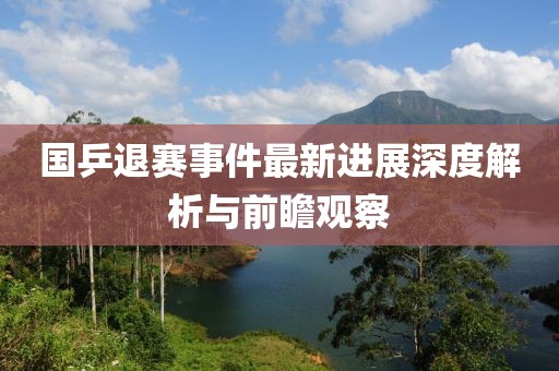 國(guó)乒退賽事件最新進(jìn)展深度解析與前瞻觀察