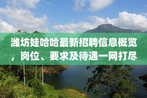 濰坊娃哈哈最新招聘信息概覽，崗位、要求及待遇一網(wǎng)打盡