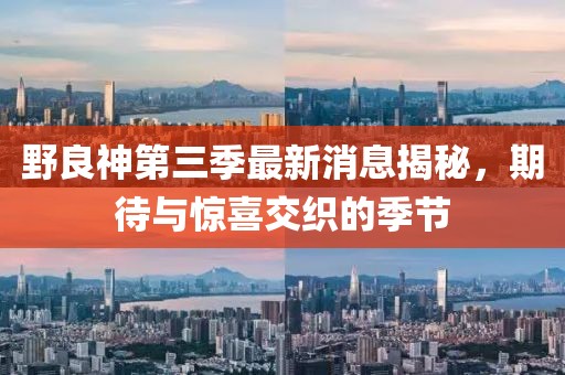 野良神第三季最新消息揭秘，期待與驚喜交織的季節(jié)