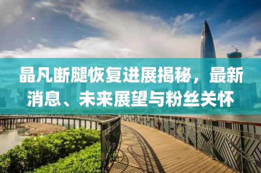 晶凡斷腿恢復(fù)進(jìn)展揭秘，最新消息、未來展望與粉絲關(guān)懷