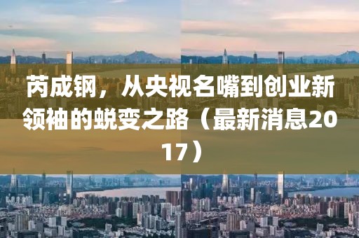 芮成鋼，從央視名嘴到創(chuàng)業(yè)新領(lǐng)袖的蛻變之路（最新消息2017）