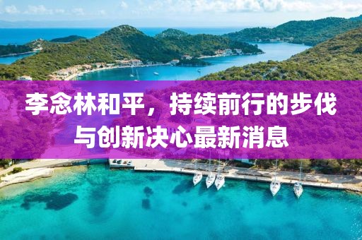 李念林和平，持續(xù)前行的步伐與創(chuàng)新決心最新消息