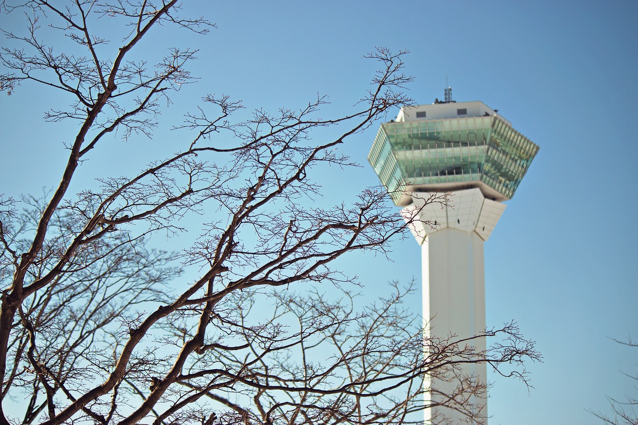 決斗之城最新動態(tài)，新時代卡牌競技盛宴揭秘